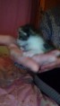 /album/fenykepgaleria/img-20150315-181018-jpg/