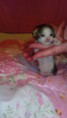 /album/fenykepgaleria/img-20150315-181034-jpg/