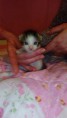 /album/fenykepgaleria/img-20150315-181044-jpg/