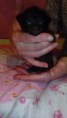 /album/fenykepgaleria/img-20150315-181244-jpg/