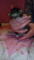 /album/fenykepgaleria/img-20150315-181346-jpg/