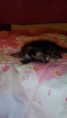 /album/fenykepgaleria/img-20150315-181413-jpg/